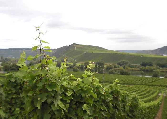 Homestay Gaestehaus Alfons Und Maria Anna Eifel